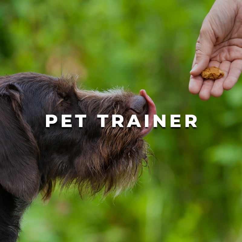 Pet Trainer Printing