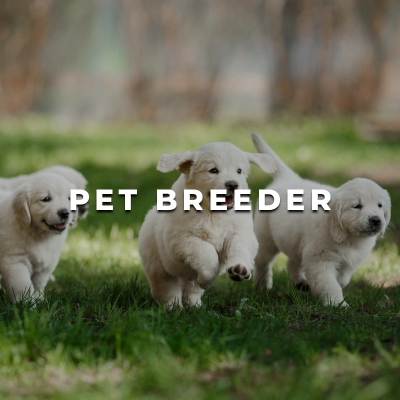Pet Breeder Printing