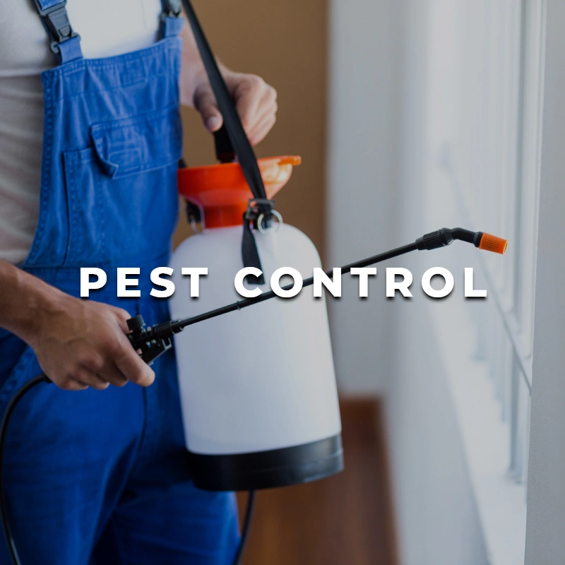 Pest Control Printing