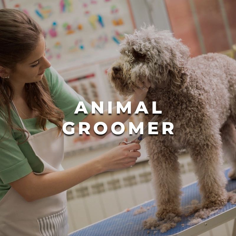 Animal Groomer Printing
