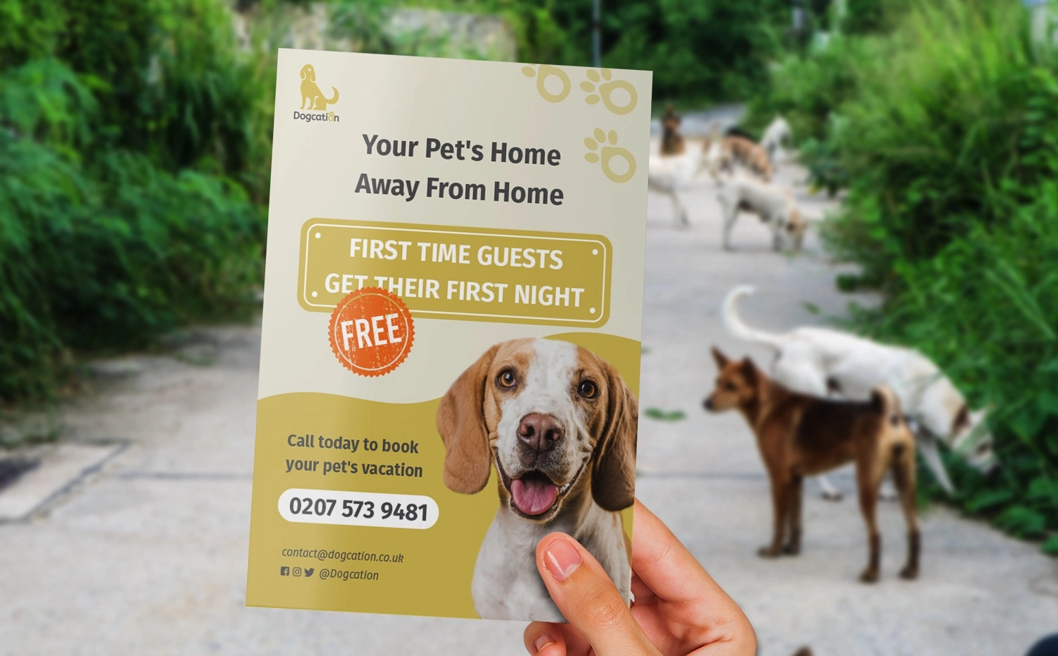 Flyer Printing