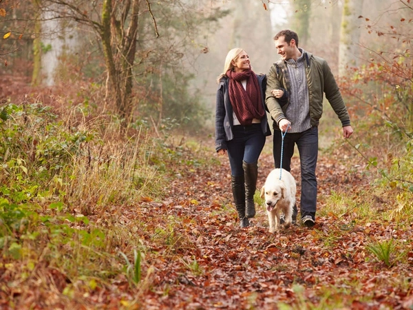 Walk in the woods