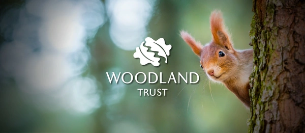  Icon Eco Woodlandtrust