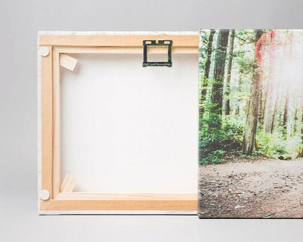  Photo - Canvas - Matte - Hanger