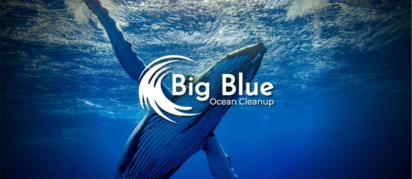  Icon Eco Oceanprotectionproject