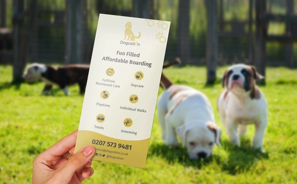  Boarding Kennels Leaflet