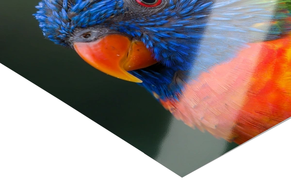 Photo Gloss Detail