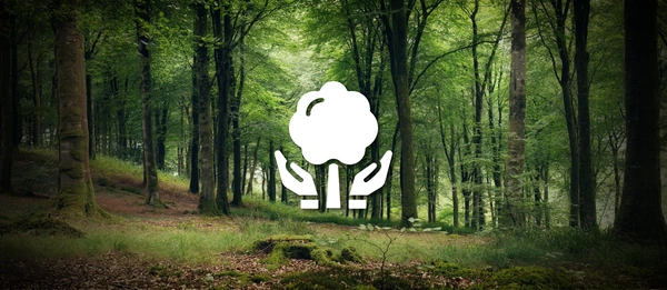  Eco Deeply - Rooted