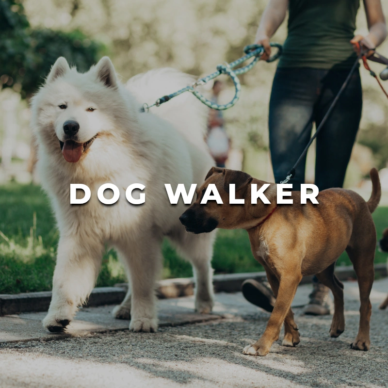 Dog Walker Printing