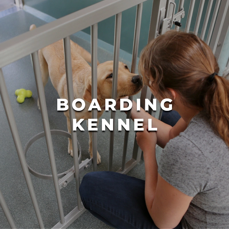Boarding Kennel Printing